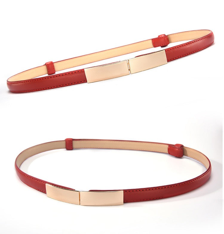 Women Decor Skinny Belt, More Colors
