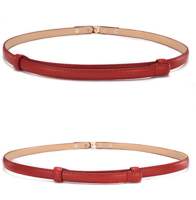Women Decor Skinny Belt, More Colors