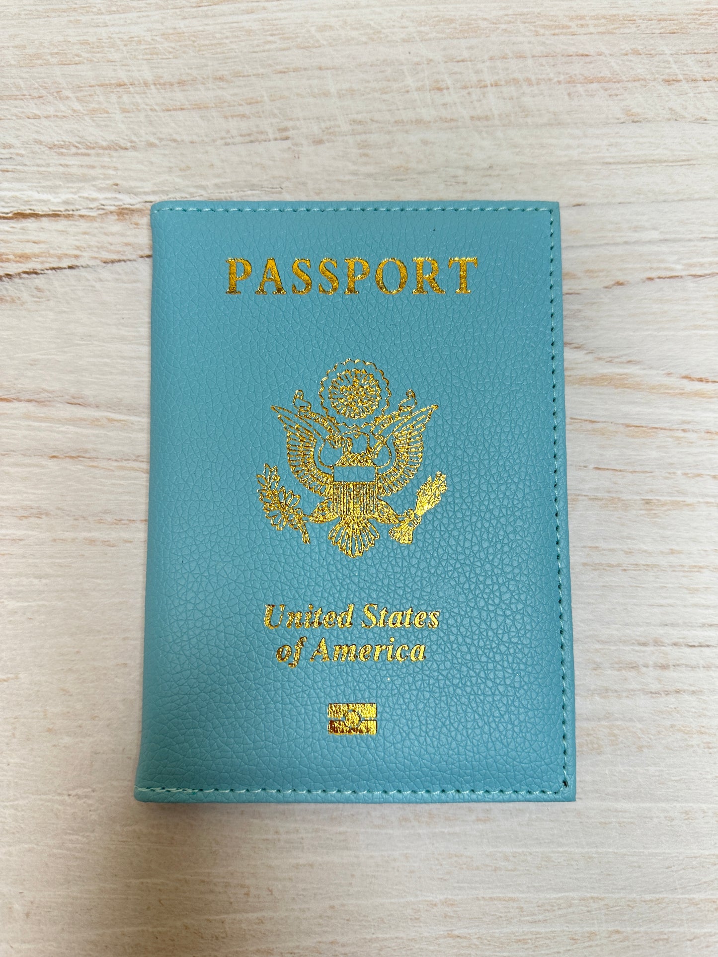 Passport Cover, Light Blue