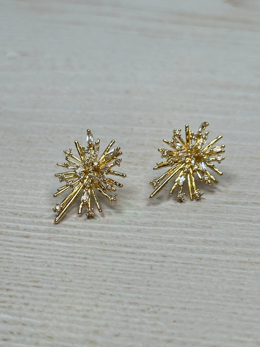 Firework Style Earrings