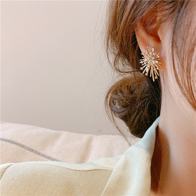 Firework Style Earrings